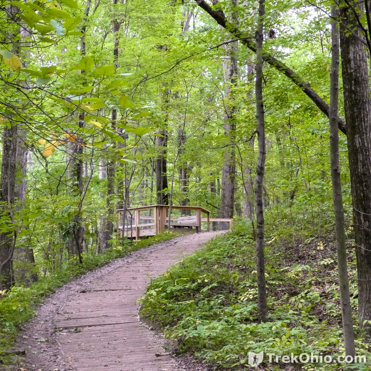 The Happy Trails 5K Through Wildwood is Back!
