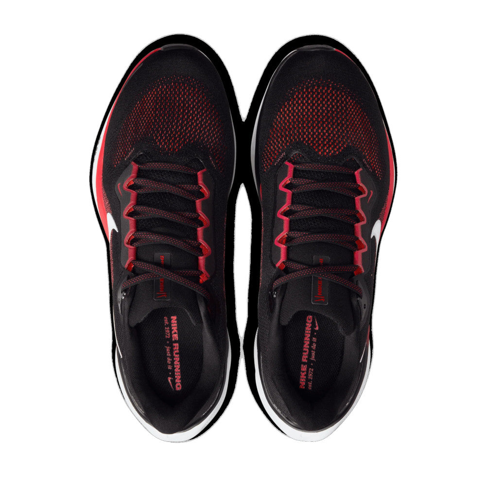 Men's Pegasus 41