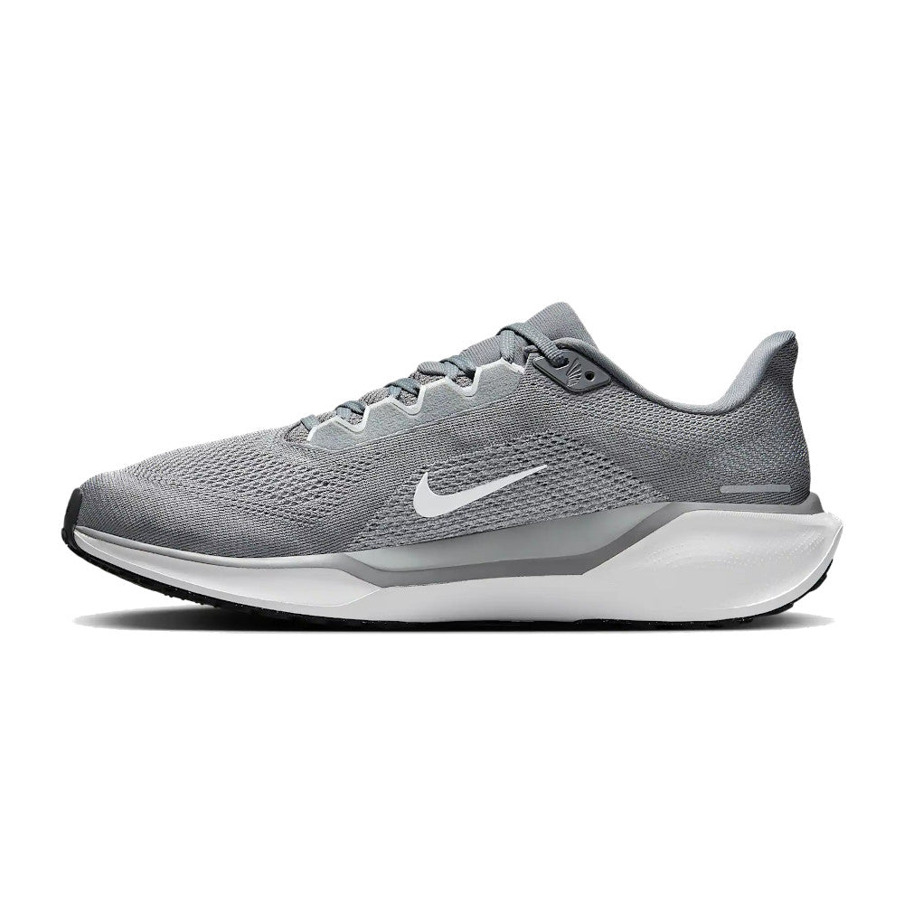 Men's Pegasus 41