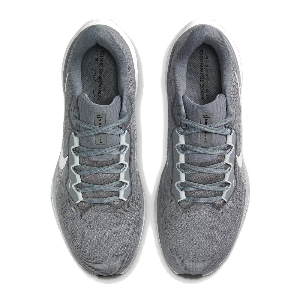 Men's Pegasus 41