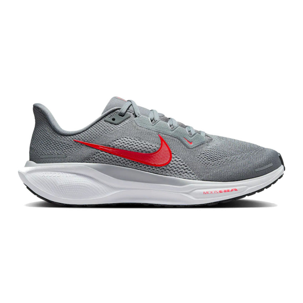 Men's Pegasus 41