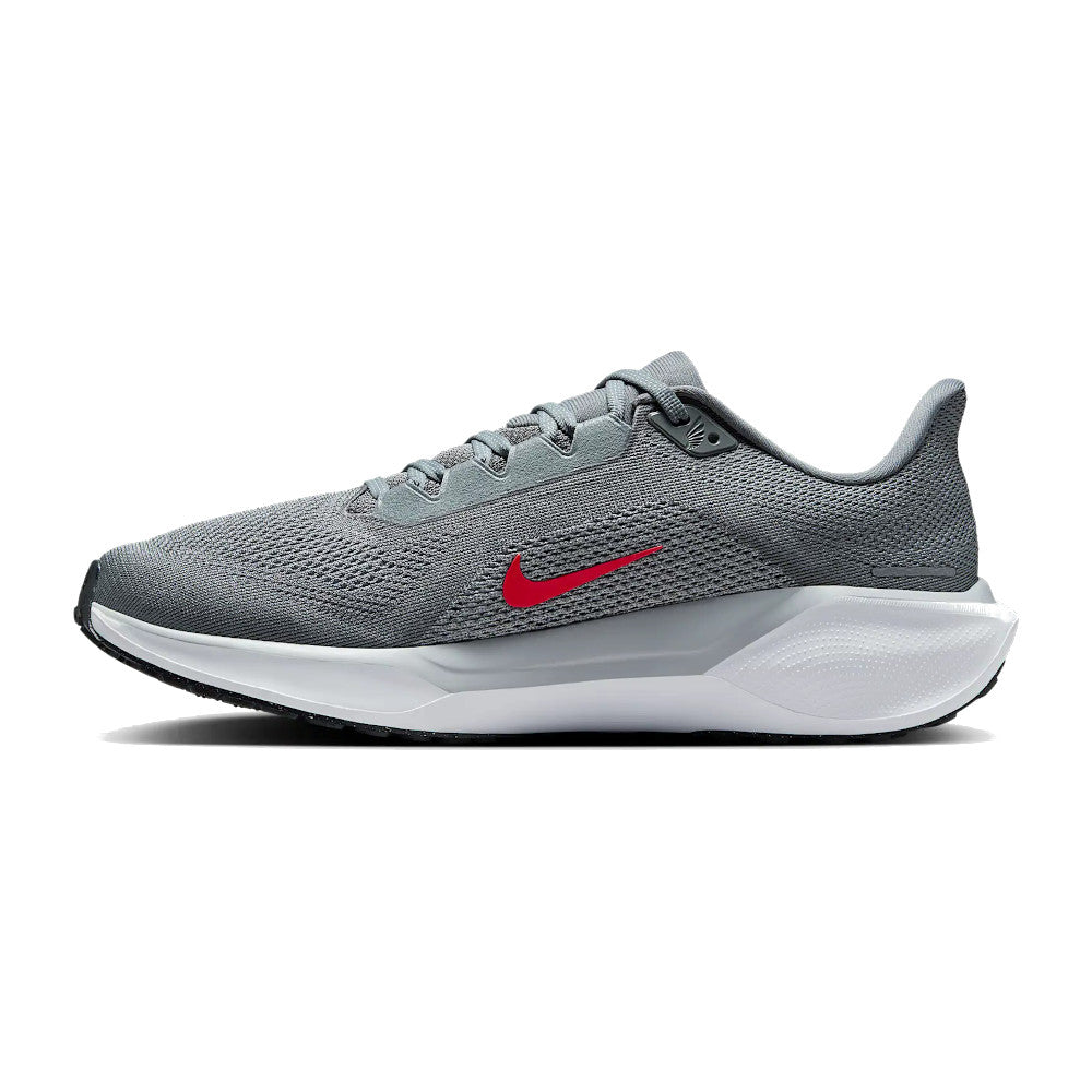 Men's Pegasus 41