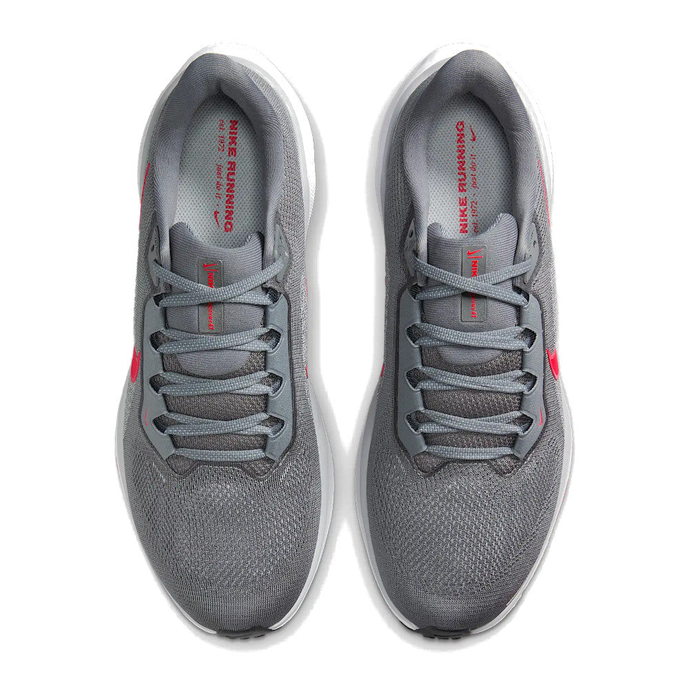 Men's Pegasus 41