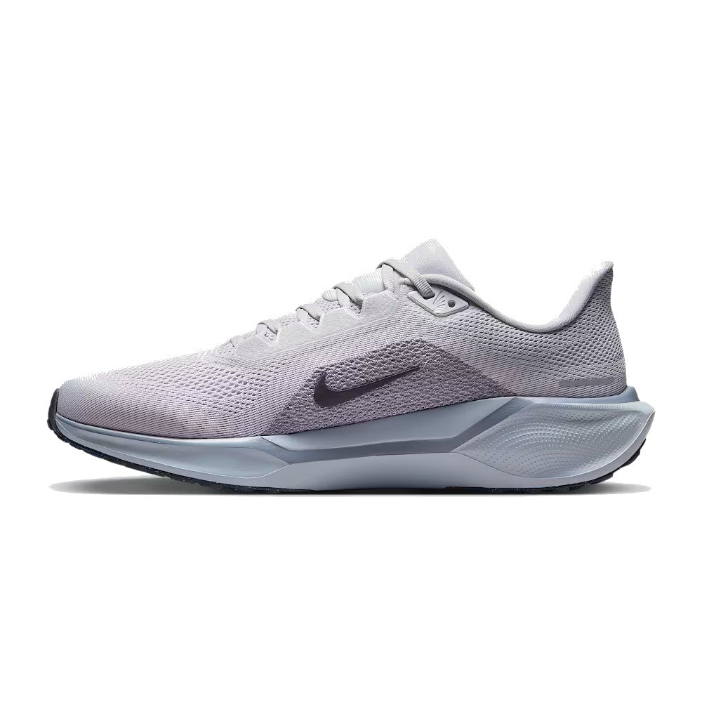 Men's Pegasus 41