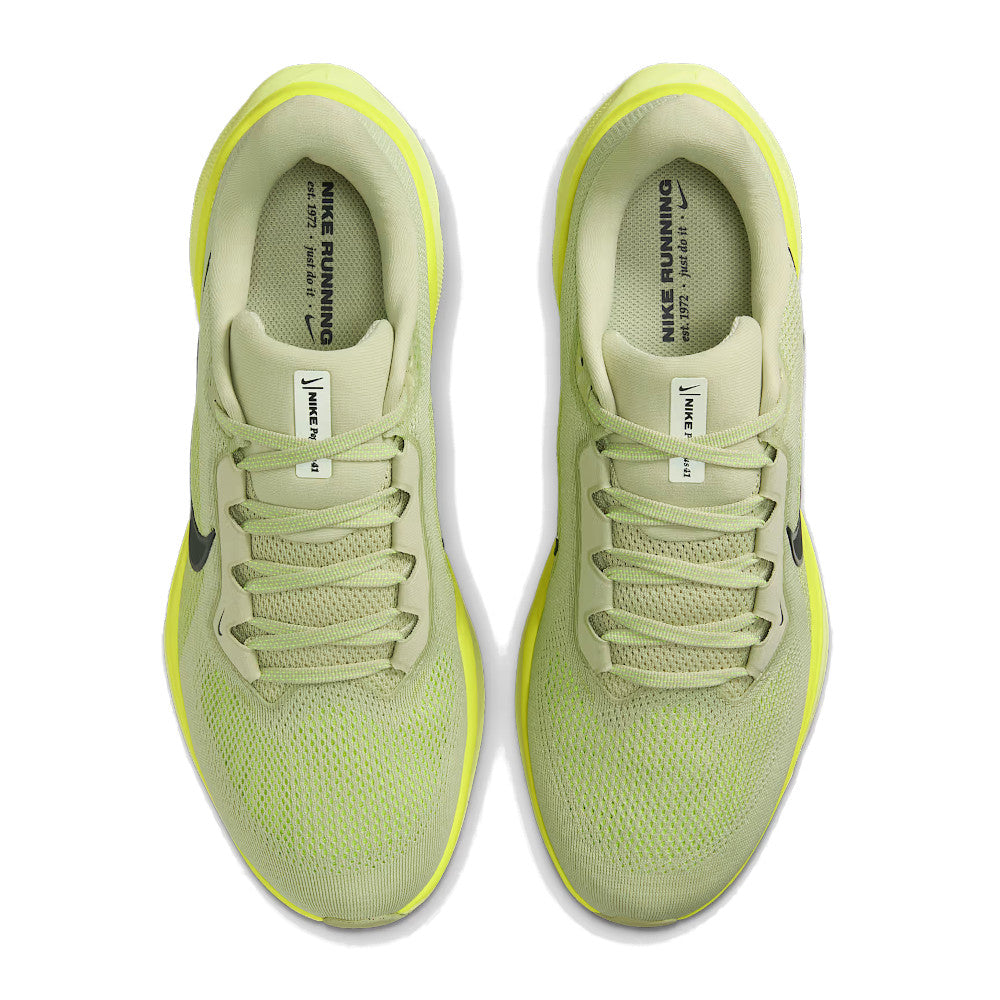 Men's Pegasus 41