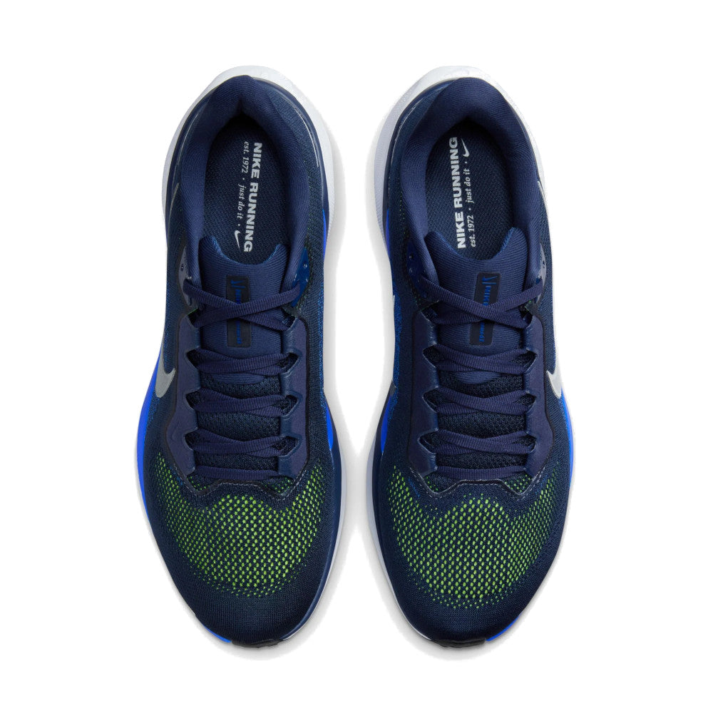 Men's Pegasus 41