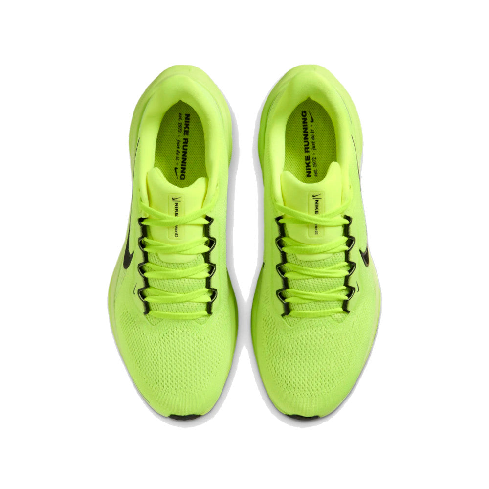 Men's Pegasus 41
