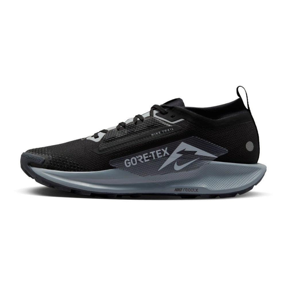 Men's Pegasus Trail 5 GTX