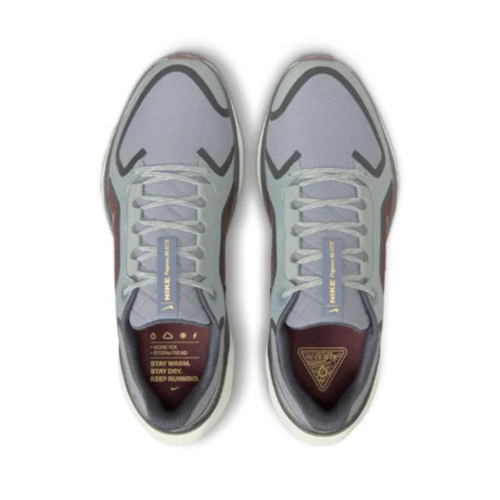 Men's Pegasus 41 GORE-TEX
