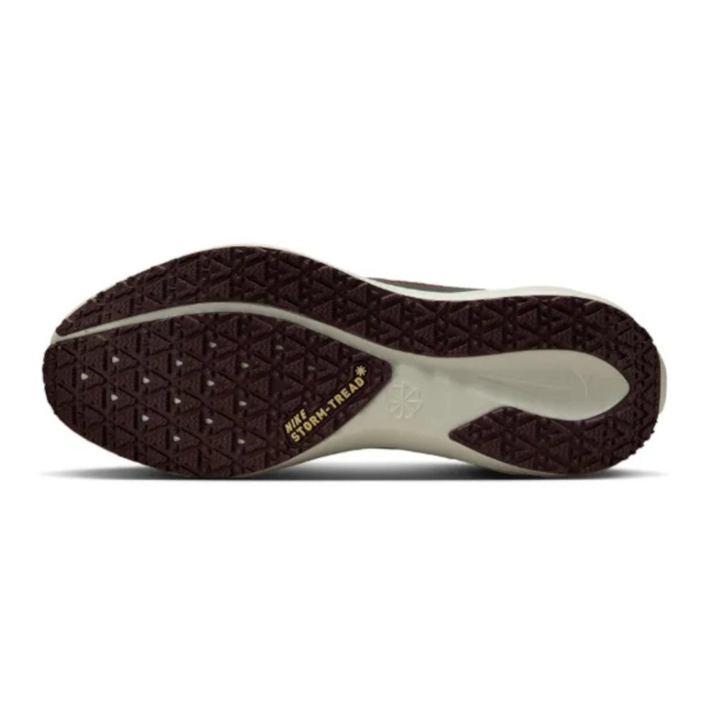 Men's Pegasus 41 GORE-TEX