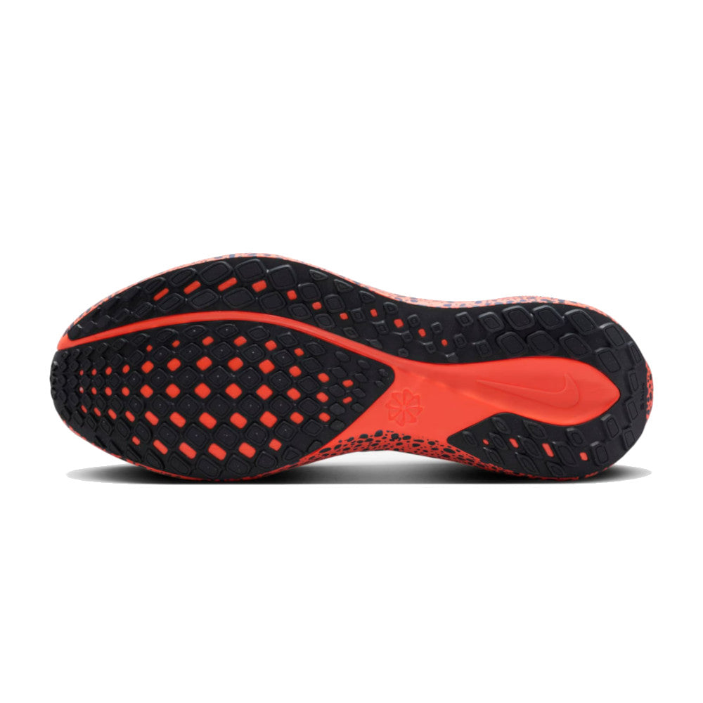 Men's Pegasus 41