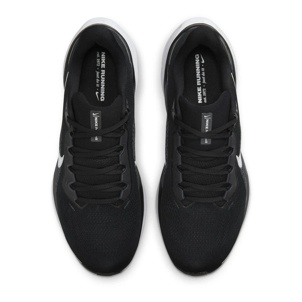 Men's Pegasus 41