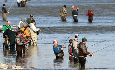 Maumee River Fest