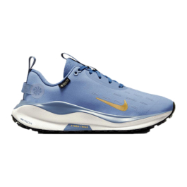 women's nike infinity run 4 gtx