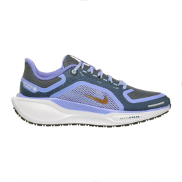 W NIKE PEGASUS 41 GORE TEX — Shoes, Apparel & Gear